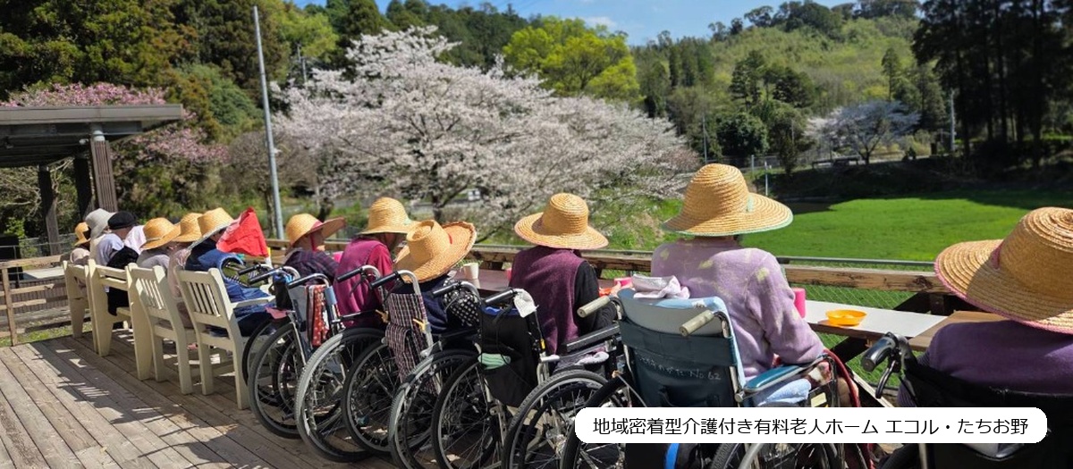 玲心会 6