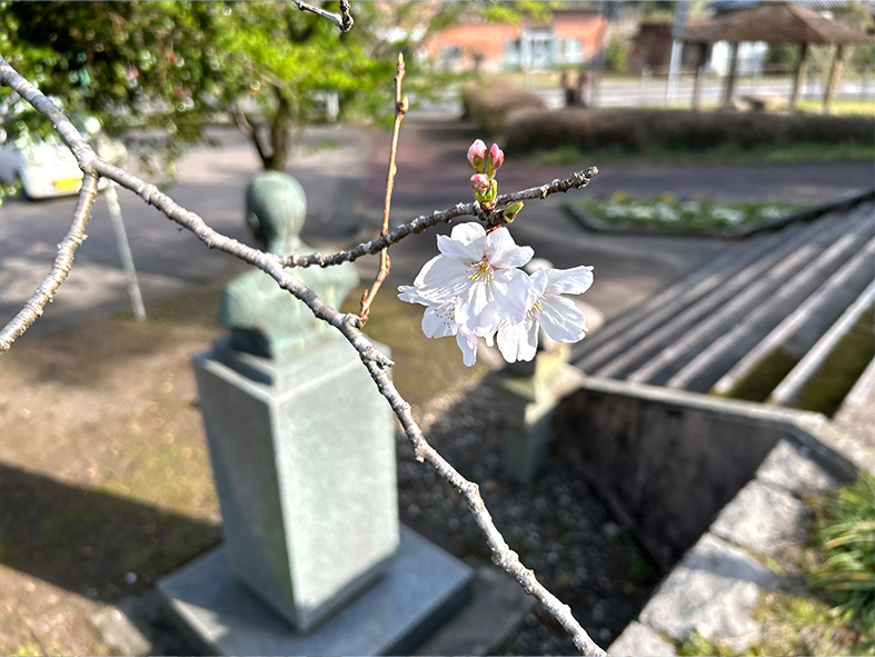 春の足音