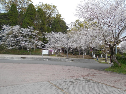 野方六月灯