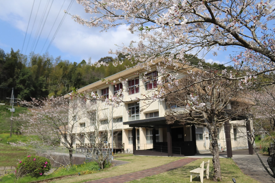 桜の季節