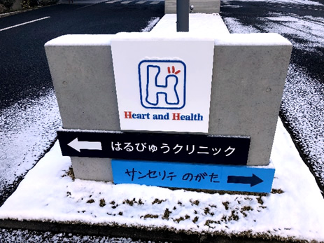 雪化粧