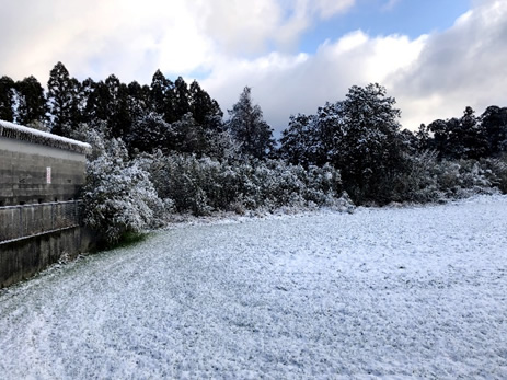 雪化粧