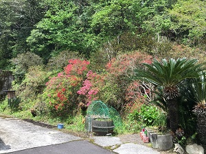 篠段寿湯⑨