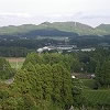 横内方面