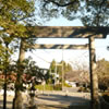 照日神社