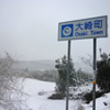 大崎町国道269号線