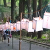 六月灯