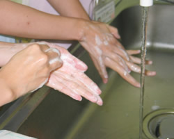 手洗い勉強会